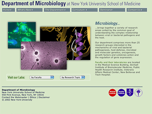 New York University School of Medicine — Microbiology
